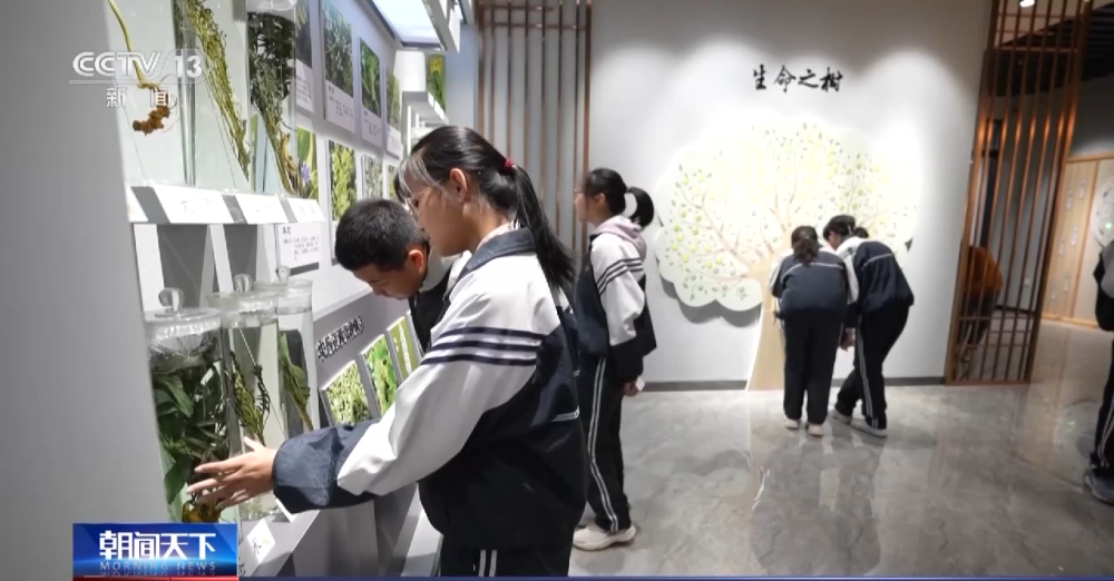 J9九游会 九游会J9建设文化体验馆、编纂古籍……各地多种方式推广中医药文化(图2)