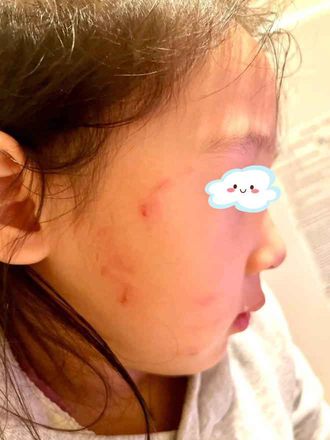 J9九游会 九游会J9幼儿园园长：这类孩子在哪里上学都容易被