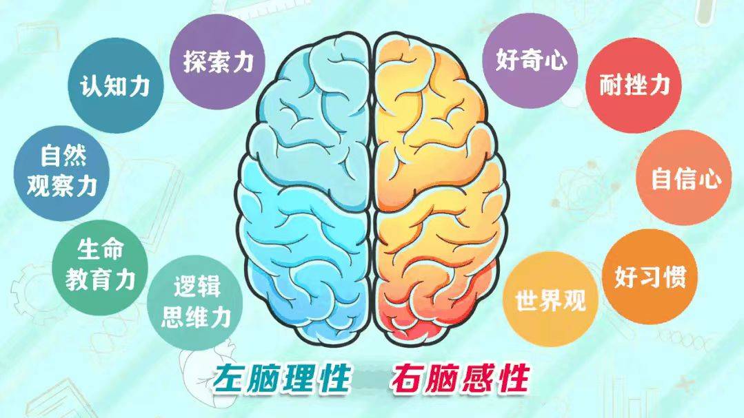 免费！免费！母婴童教育中心儿童测评预约啦九游会J9 J9九游会(图2)