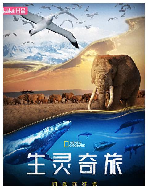 给孩子带来生动的生命教育看看《生灵奇旅》体验奇妙旅程九游会J