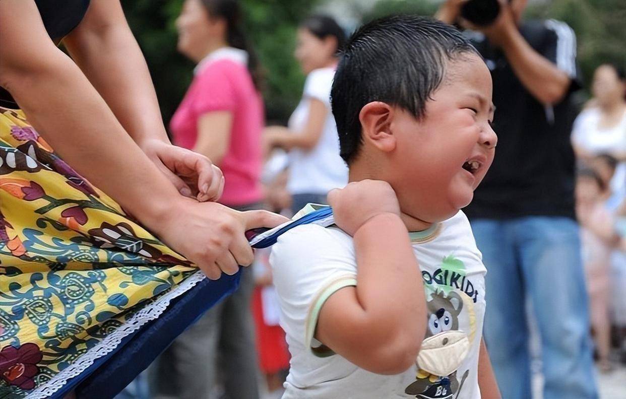 教育部下发通知2024幼儿园迎来重大变革家长：幸福来得太突然九游会J9 J9九游会(图8)